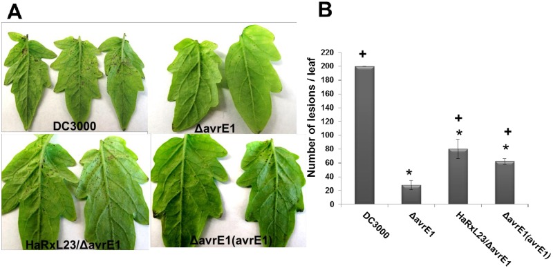 Fig 5