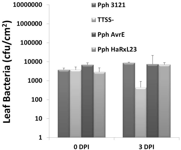 Fig 4