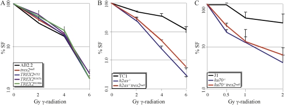 Figure 4 