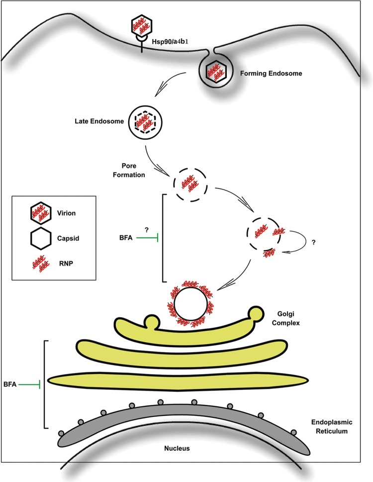 Fig 10