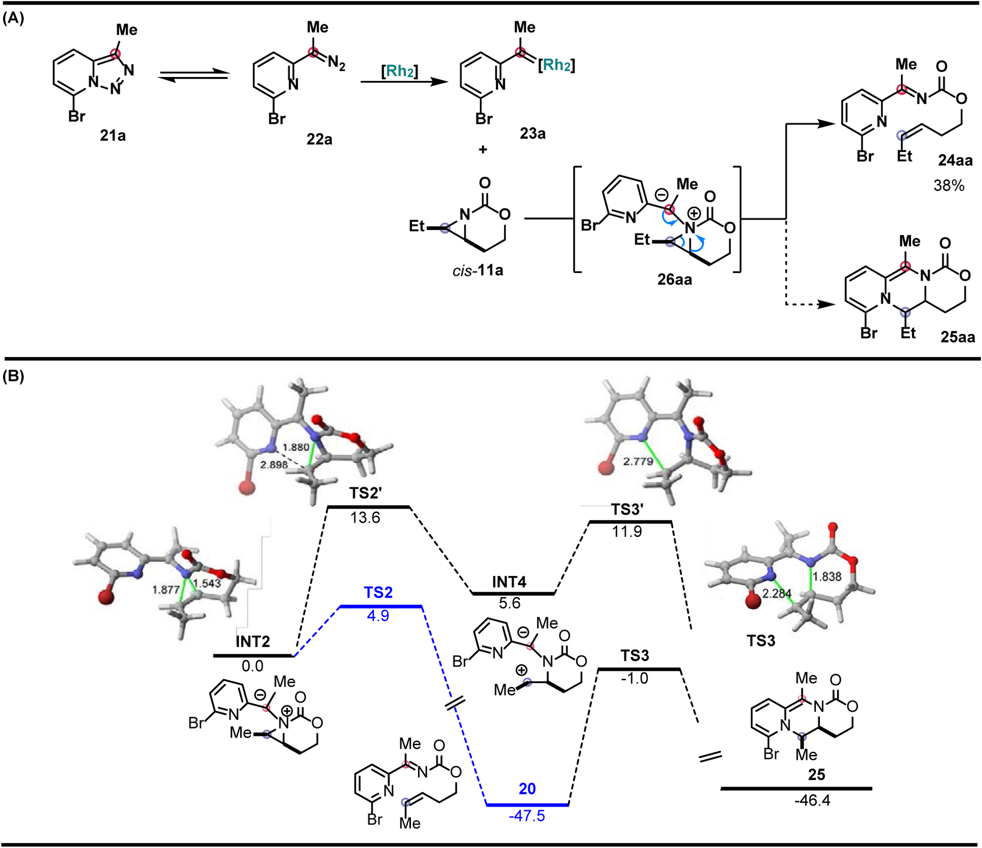 Figure 5.