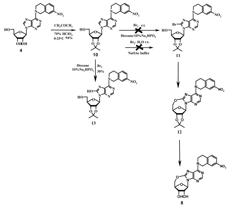 Scheme 1