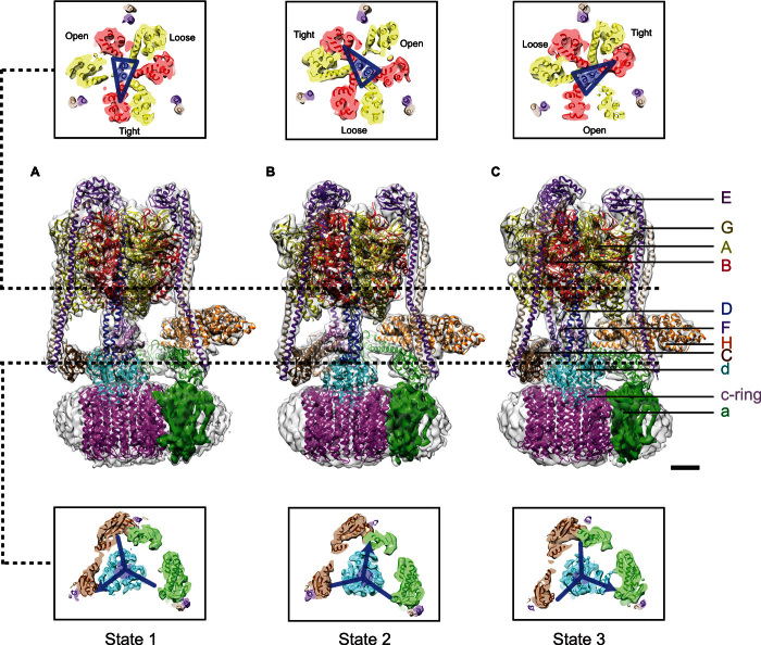 Fig. 2