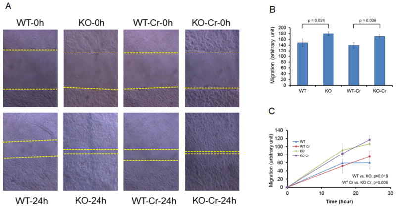 FIGURE 4