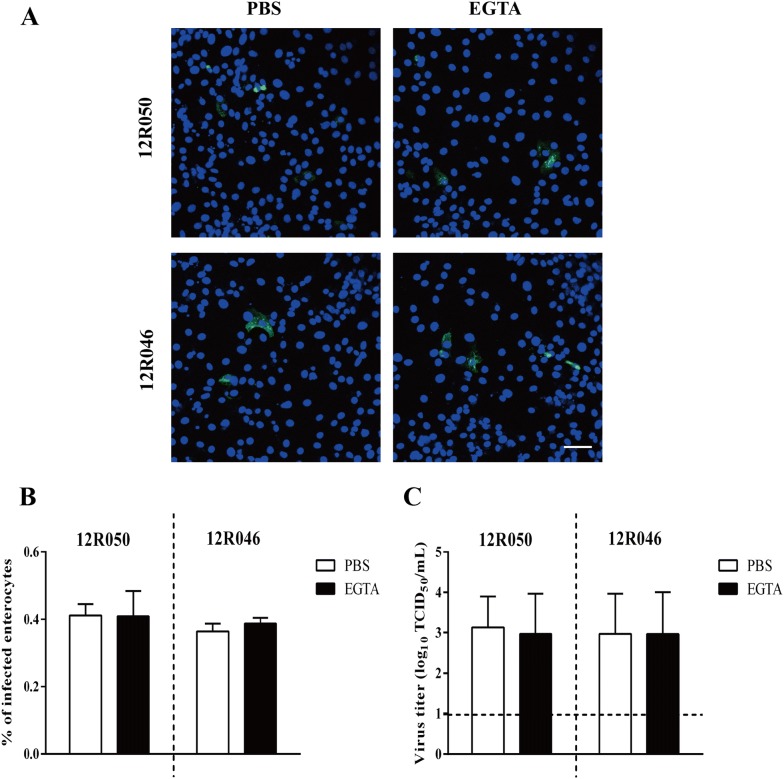 Figure 6