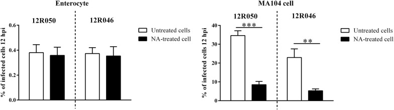 Figure 7