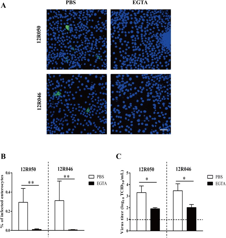 Figure 5