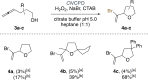 Scheme 3