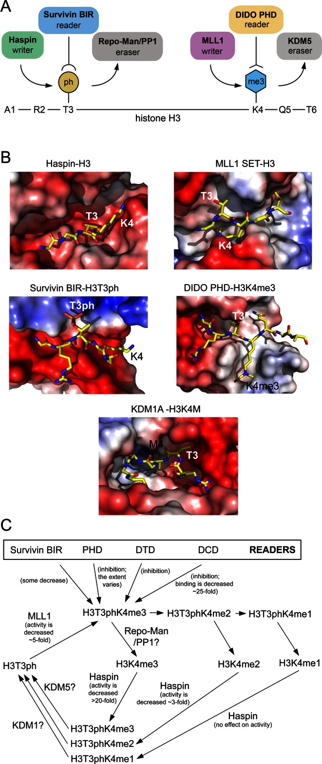 Figure 6.