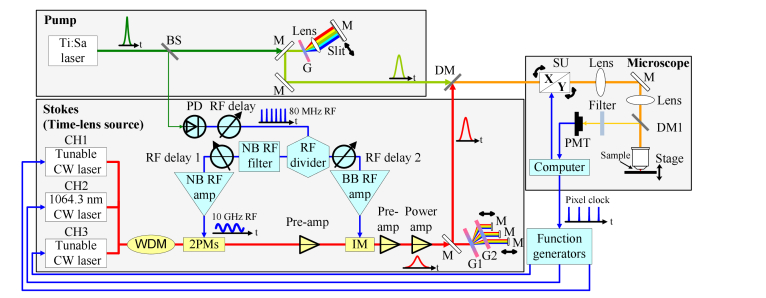 Fig. 1