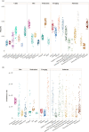Morphological disparity and rates of evolution of the lower jaw per clade and ecological category.