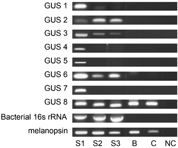 Figure 4.