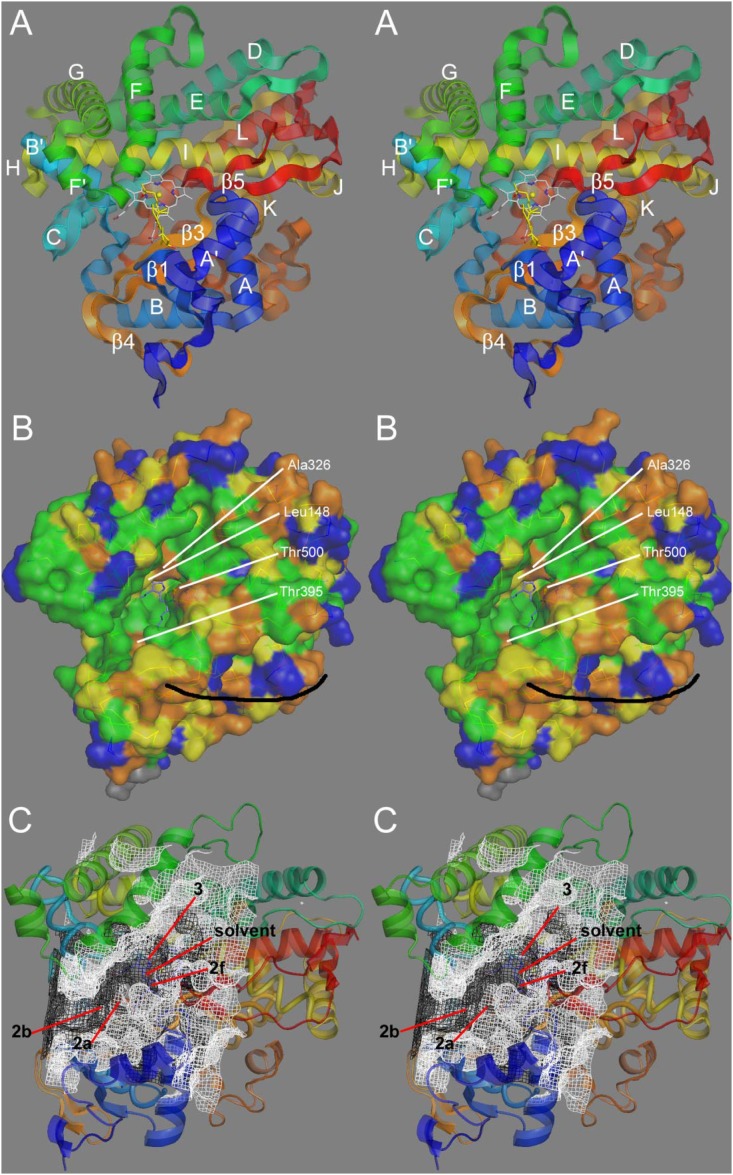 Fig. 4.