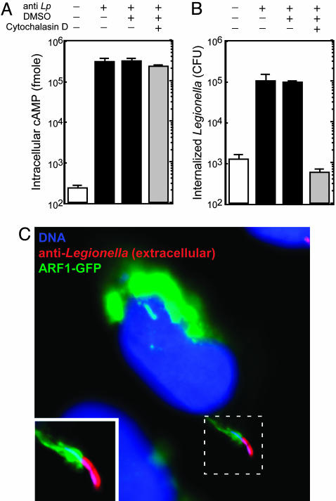 Fig. 2.