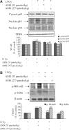 <b>FIG. 6.</b>