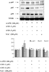 <b>FIG. 3.</b>