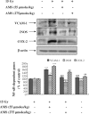 <b>FIG. 7.</b>