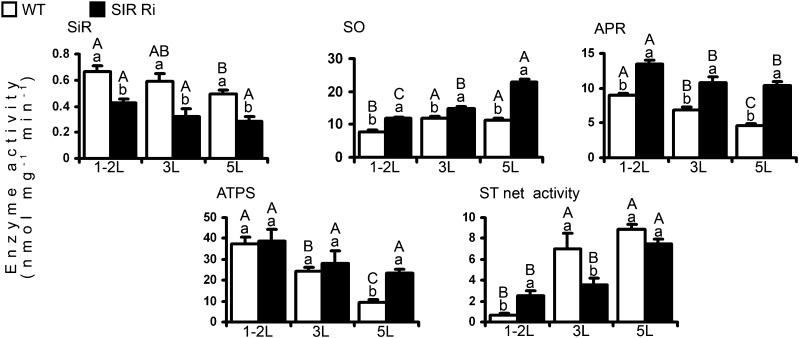 Figure 5.