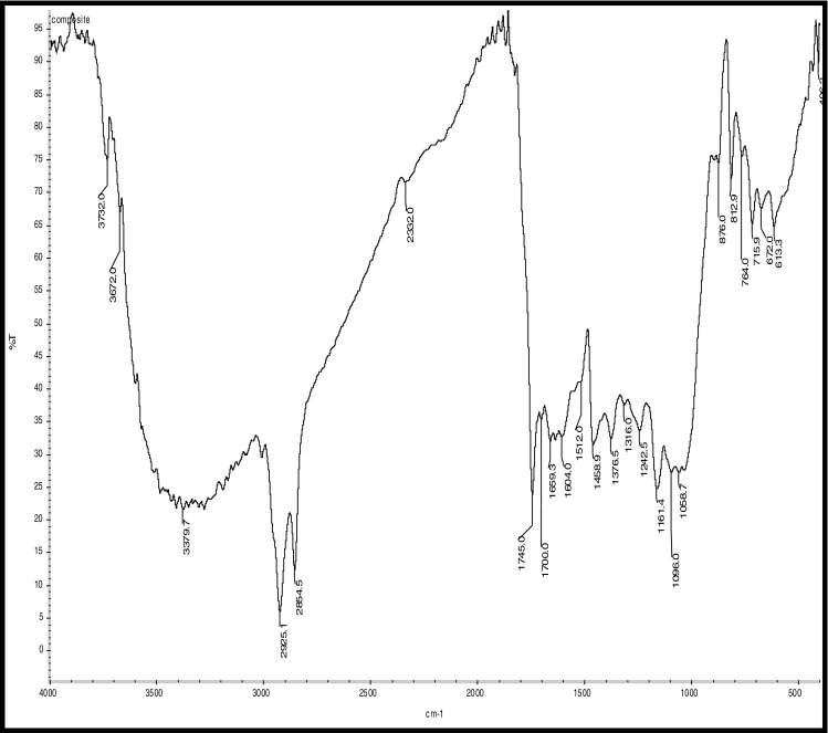 Fig. 10