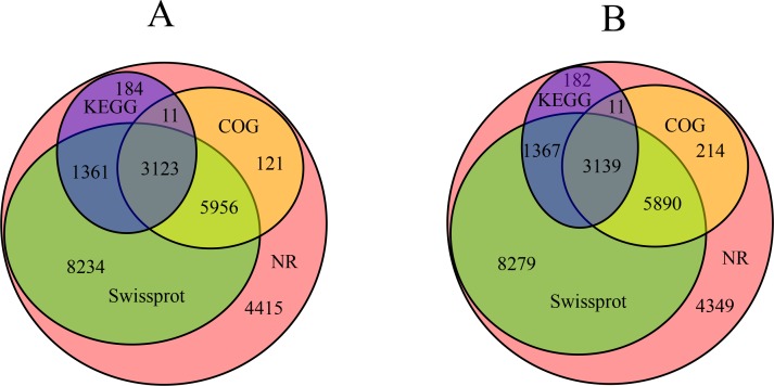 Fig 8