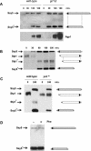 FIG. 6.