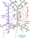 Figure 11.