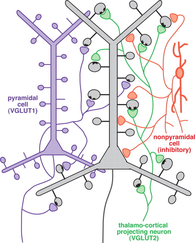 Figure 11.