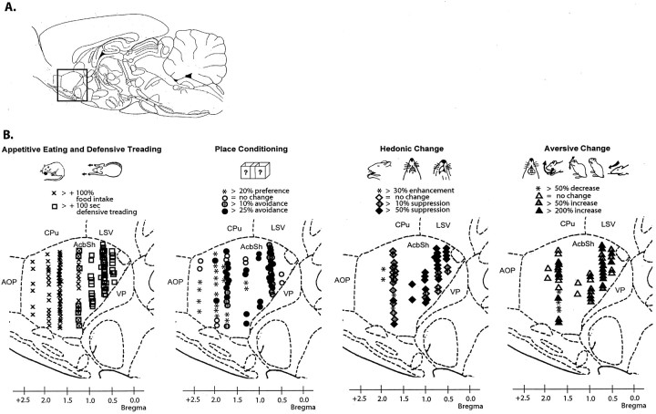 Fig. 8.