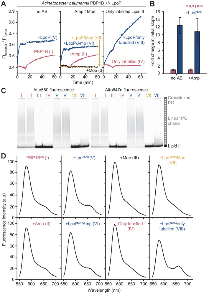 Figure 3—figure supplement 7.