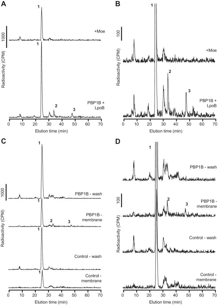 Figure 4—figure supplement 2.