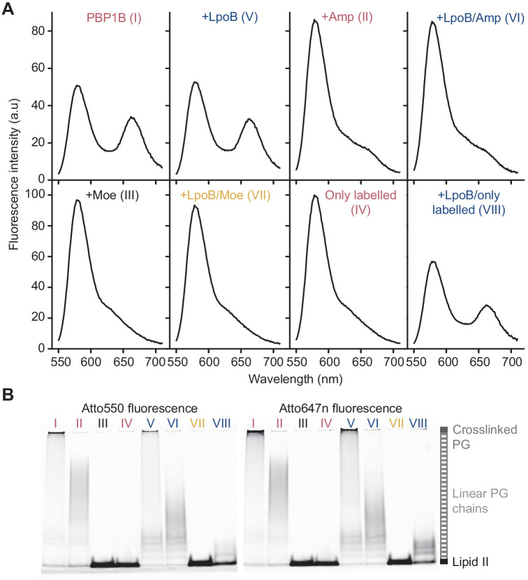 Figure 1—figure supplement 3.