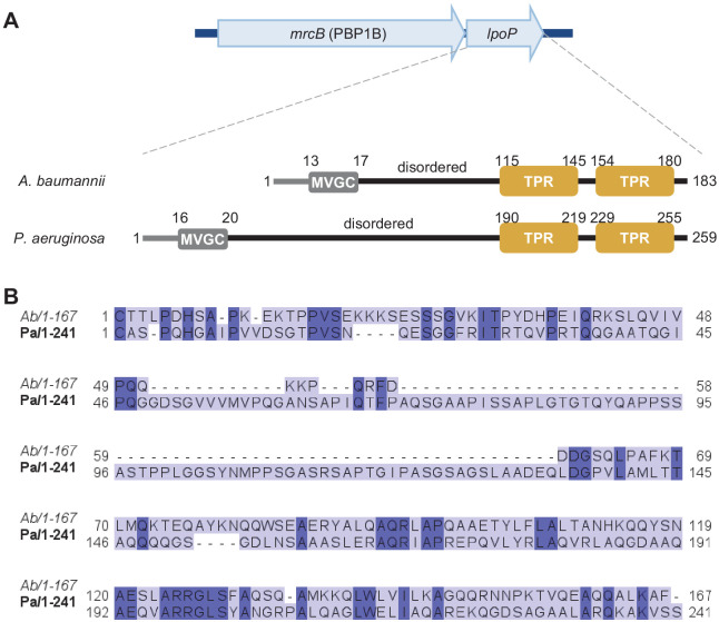 Figure 3—figure supplement 5.