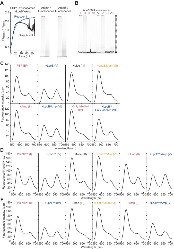 Figure 3—figure supplement 2.