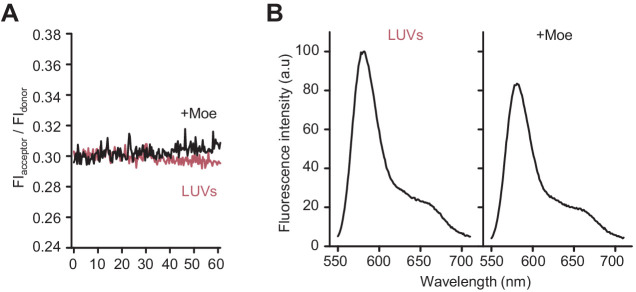 Figure 3—figure supplement 3.