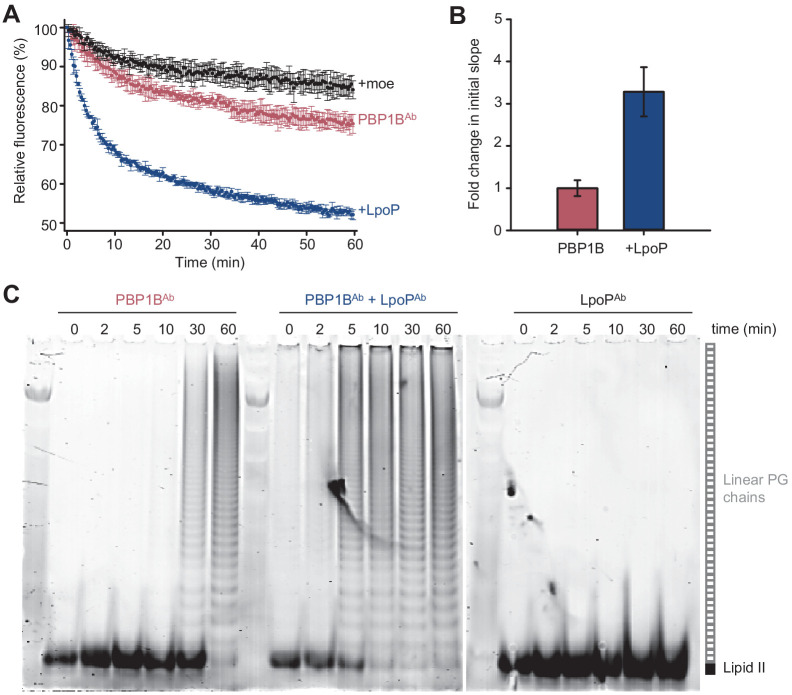 Figure 3—figure supplement 6.