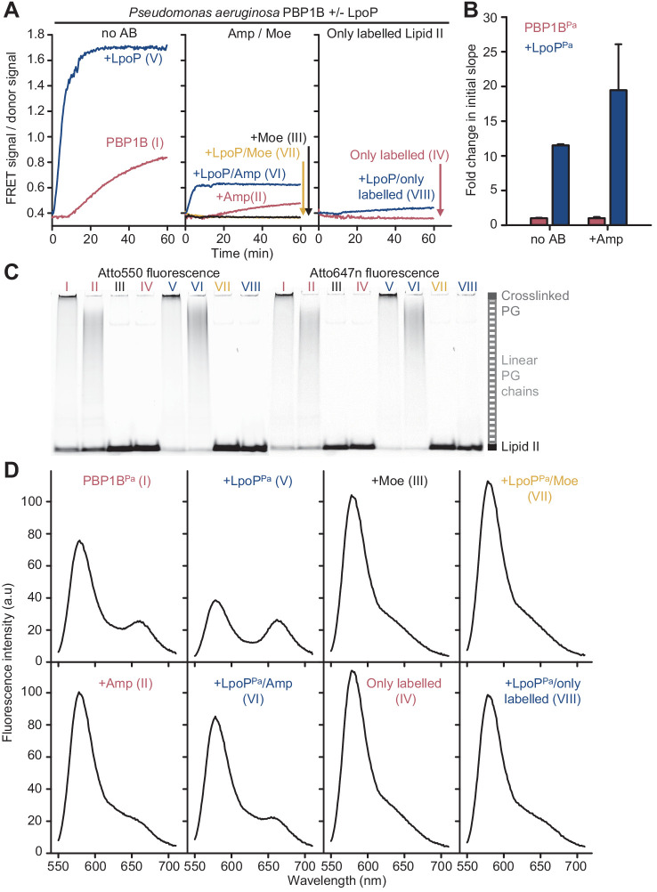 Figure 3—figure supplement 8.