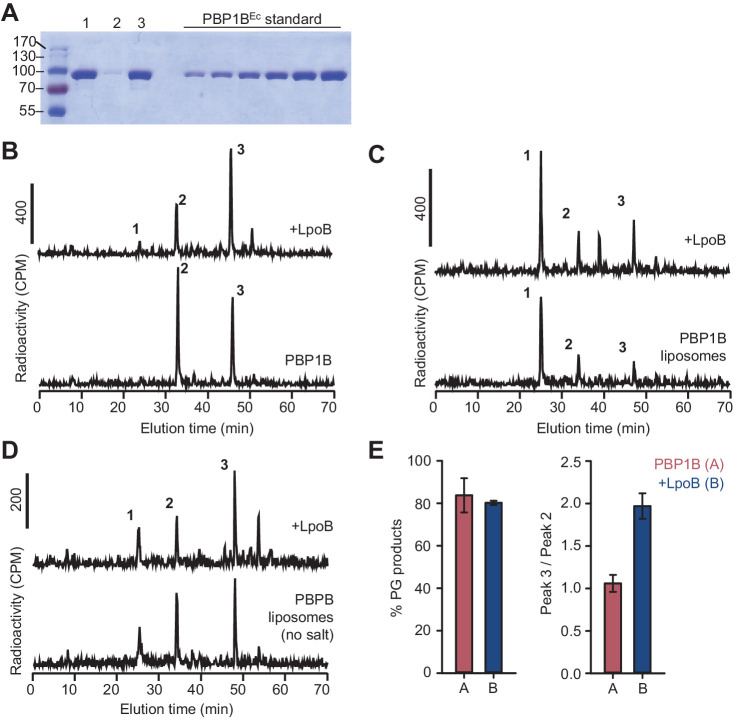 Figure 3—figure supplement 1.