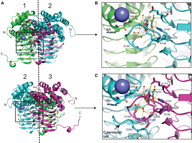 Figure 5.