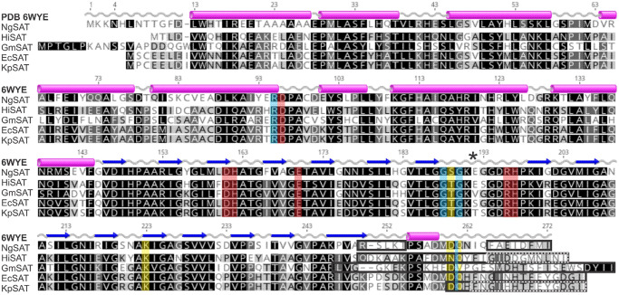 Figure 3.