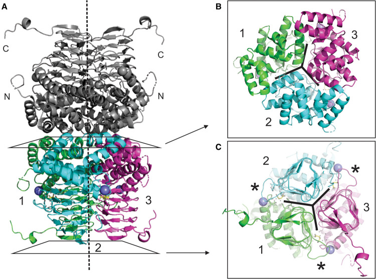 Figure 2.