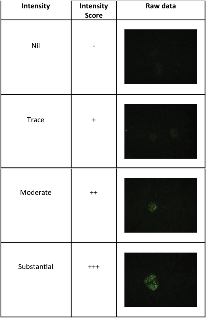 Figure 3