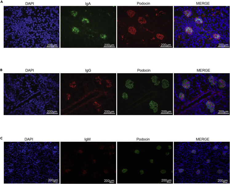 Figure 2