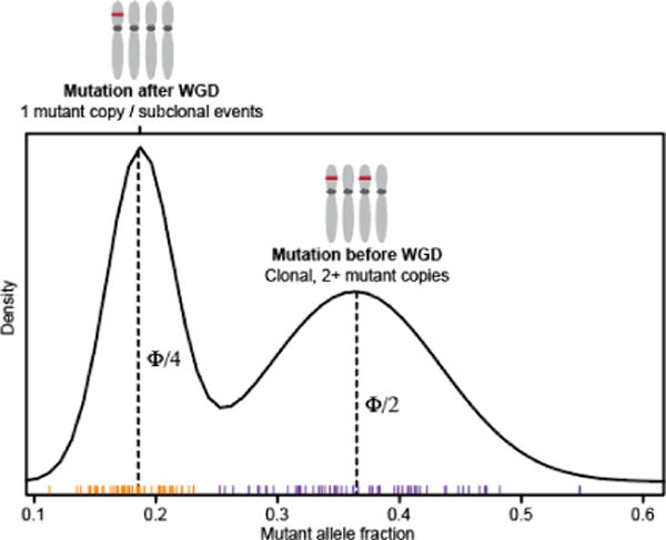 Extended Data Figure 7