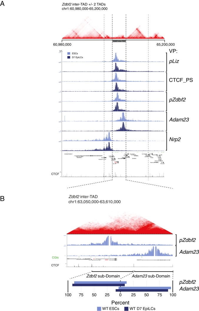 Figure 1—figure supplement 3.