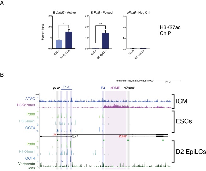 Figure 1—figure supplement 2.