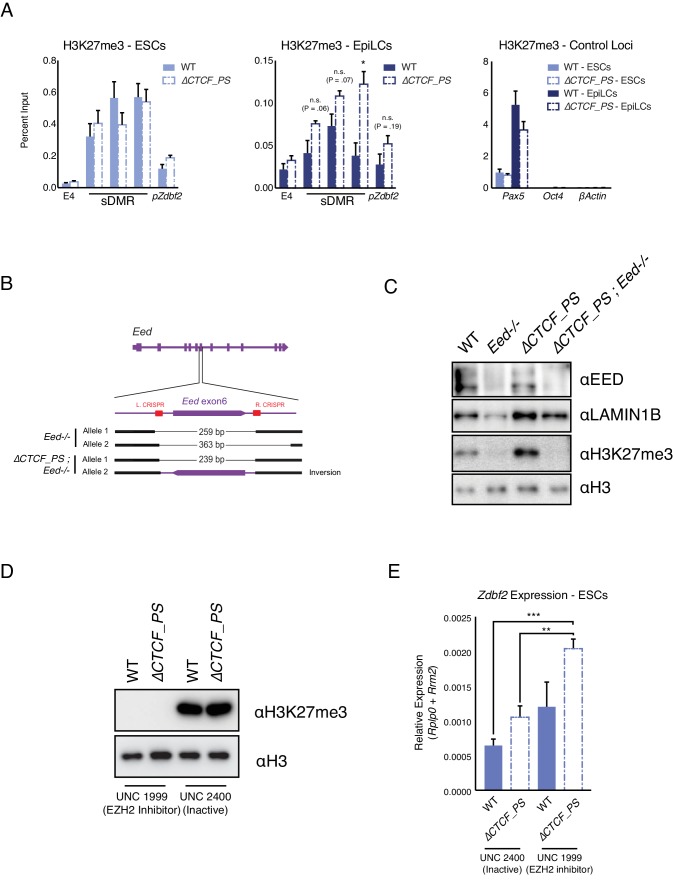 Figure 4—figure supplement 3.