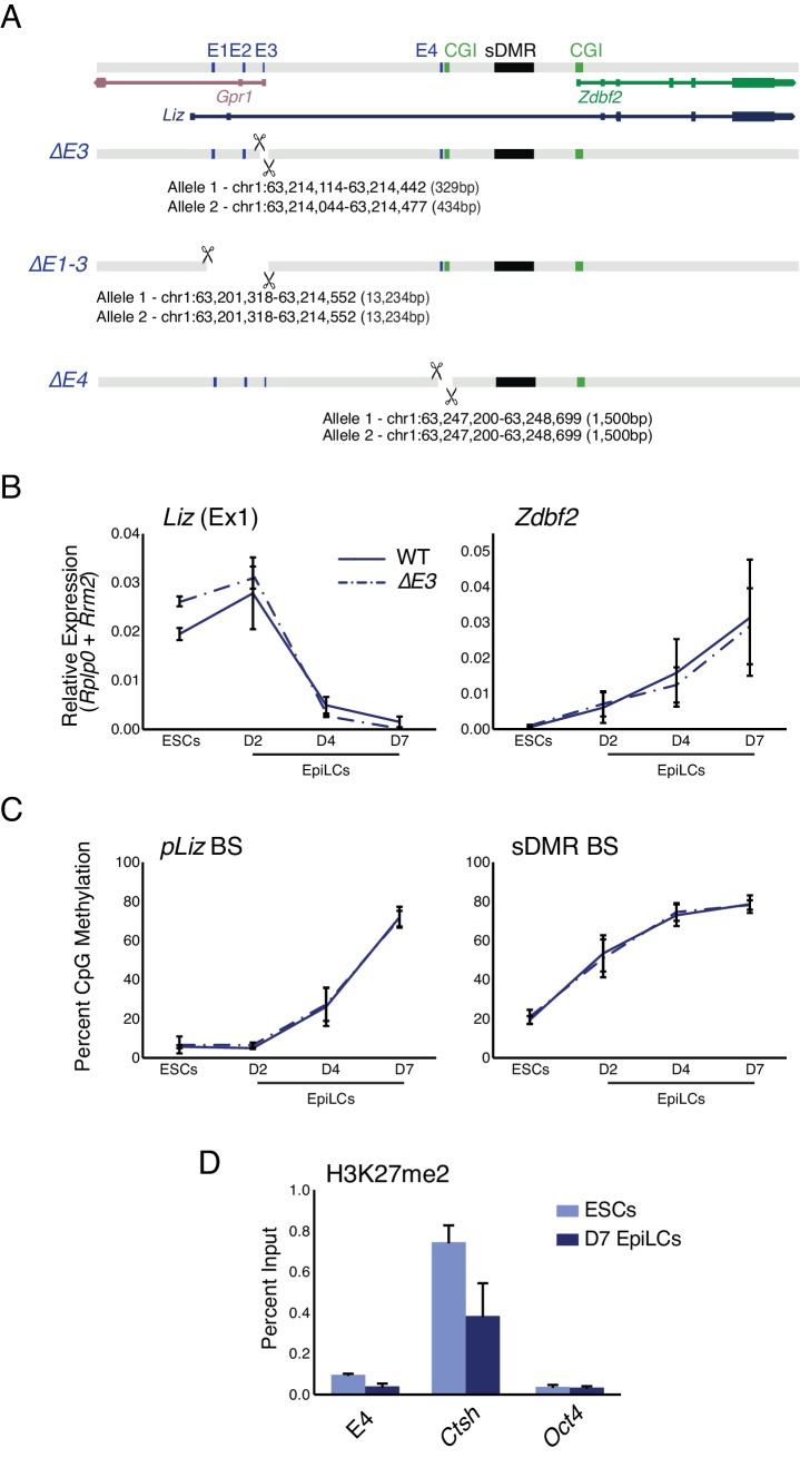 Figure 2—figure supplement 1.