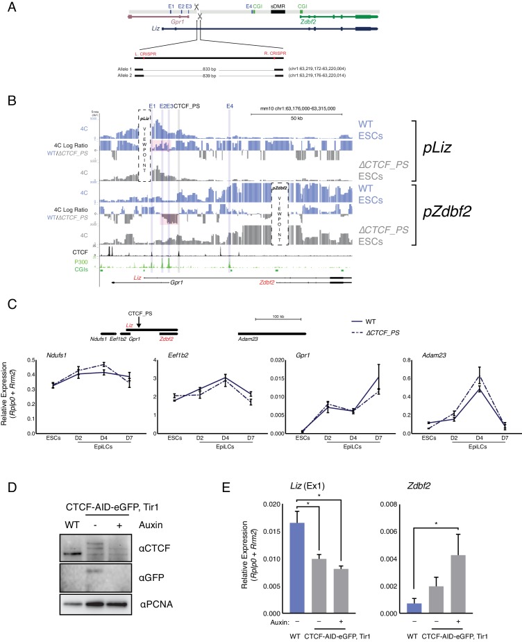 Figure 4—figure supplement 2.