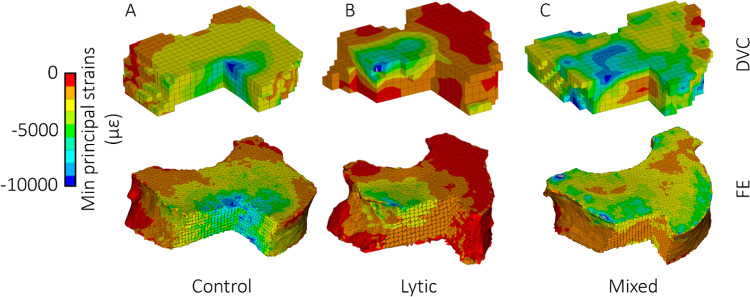 Fig. 8