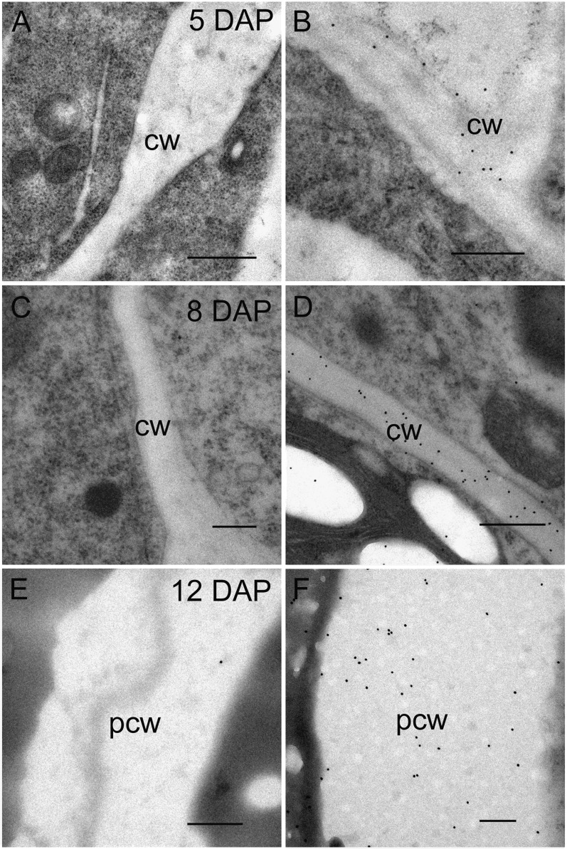 Figure 9.